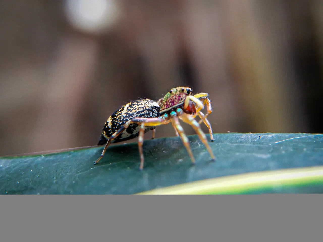 IMG20220116140804.jpg