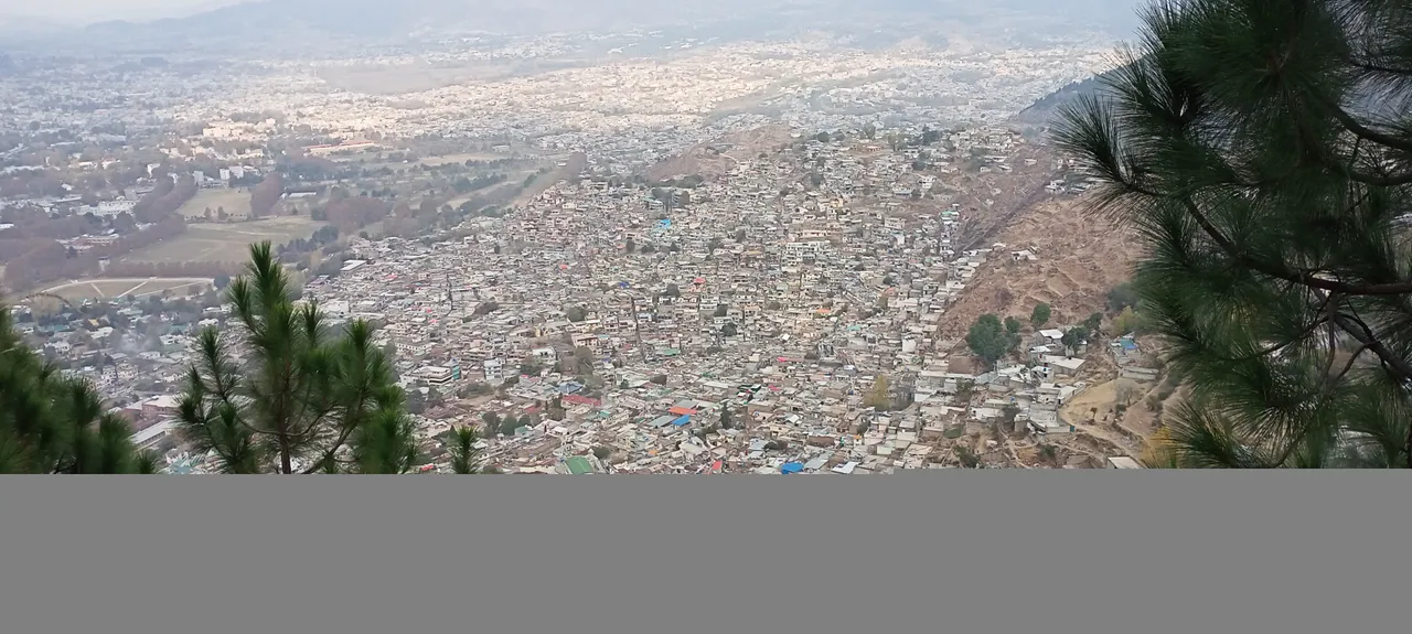 IMG20201118134110.jpg