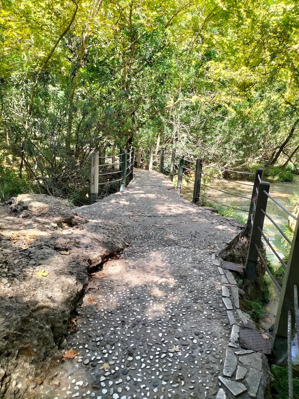 IMG20220902144230.jpg