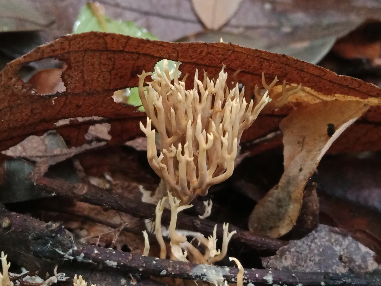 IMG20221012113633.jpg