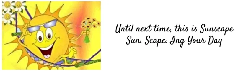 banner-sunscape-2.jpg