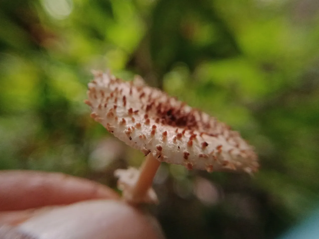 IMG20220904155919.jpg