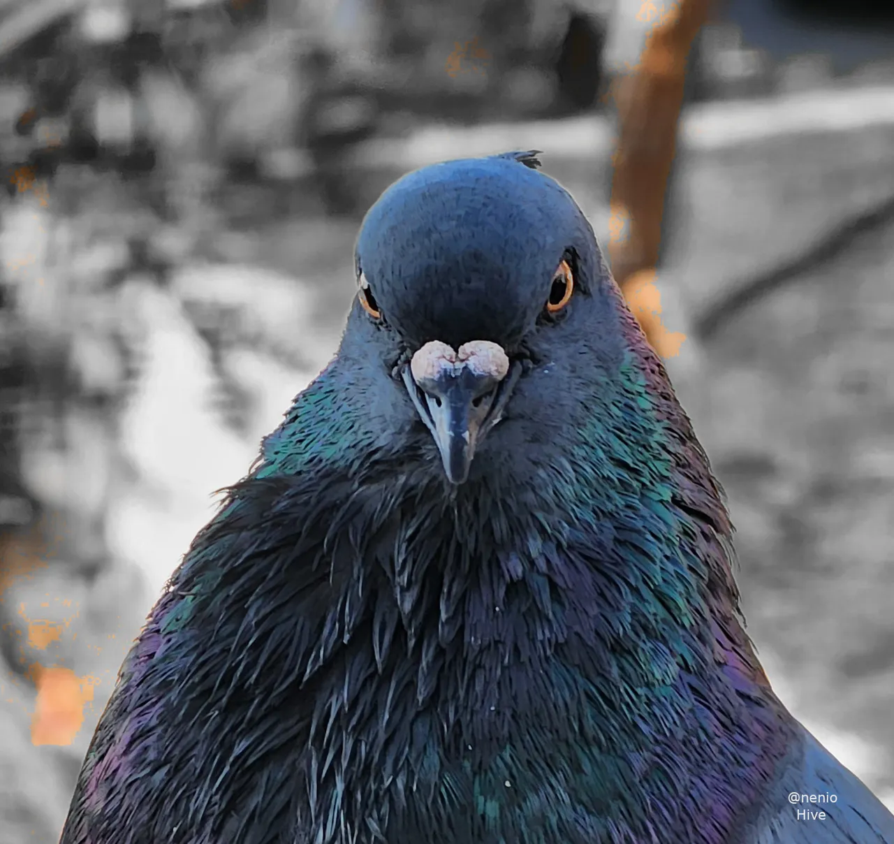 looking-you-001-m.jpg