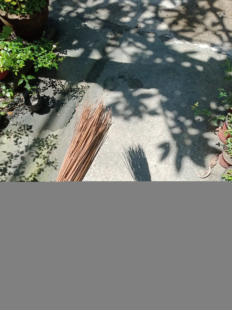 IMG20210421095936.jpg