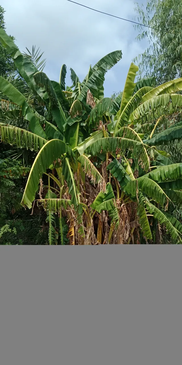 IMG20210909112315.jpg