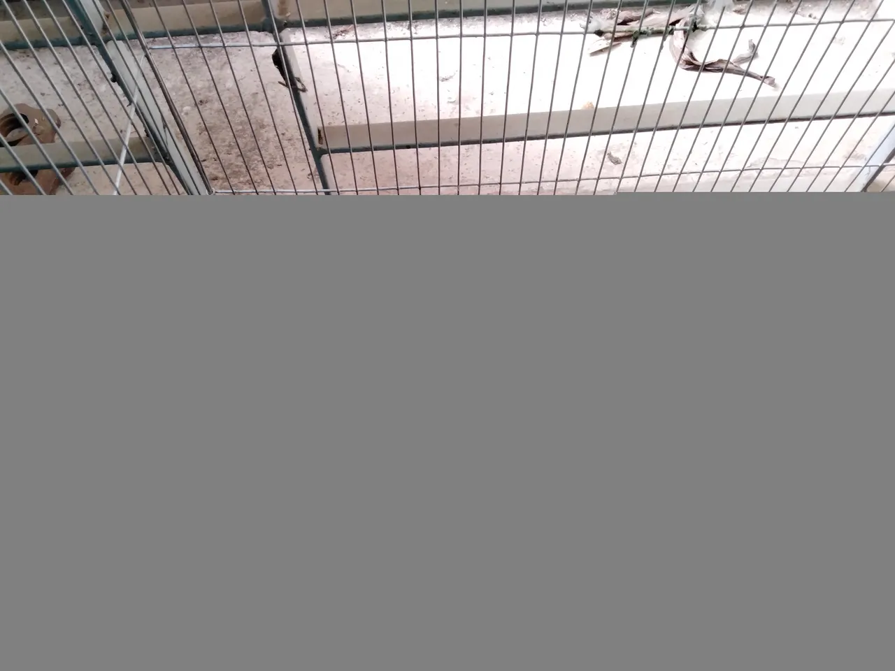 IMG20210211150226.jpg