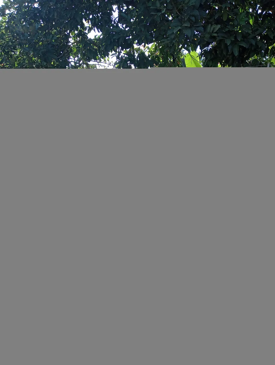 IMG20250608082235.jpg