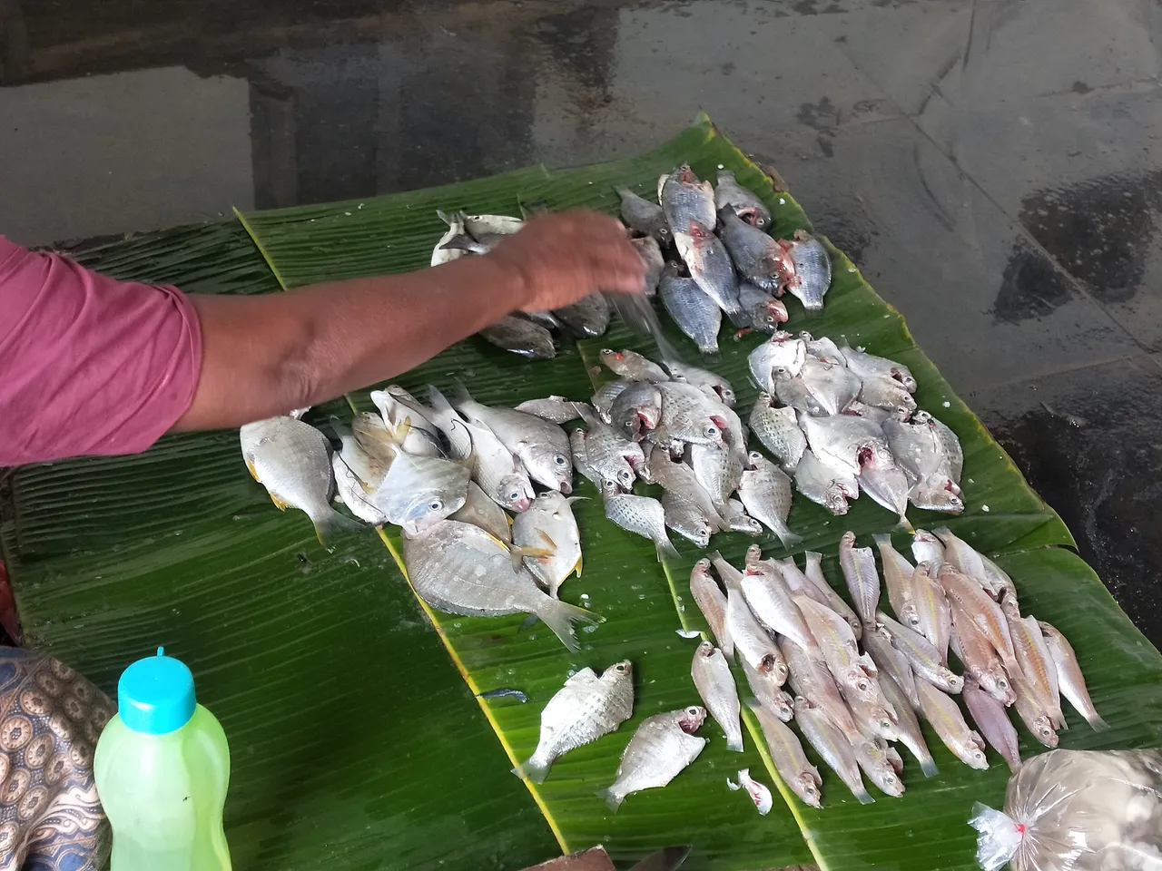 IMG20221015091916.jpg