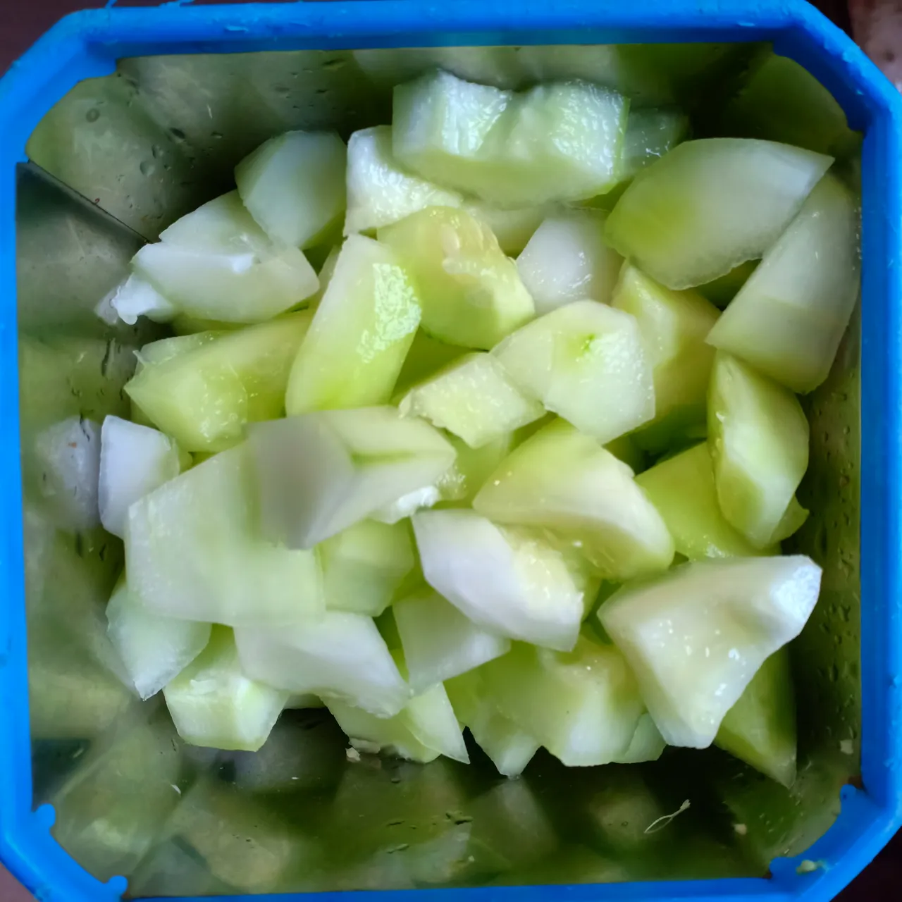 IMG20250322152233.jpg