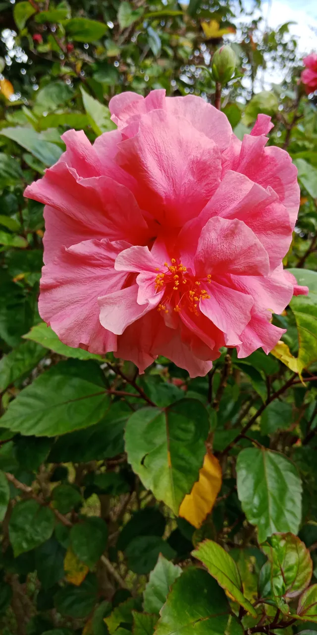 IMG20200820163820.jpg