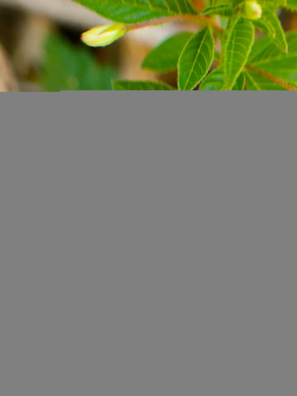 IMG20211004094521.jpg