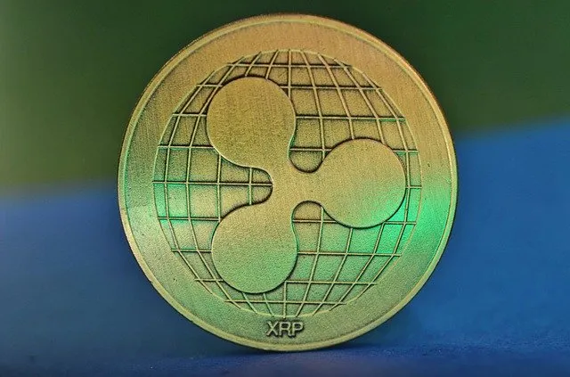 coins-3789233_640.jpg