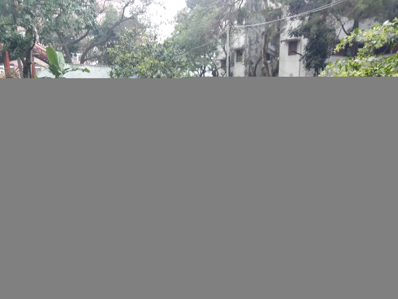 IMG20210120121030.jpg