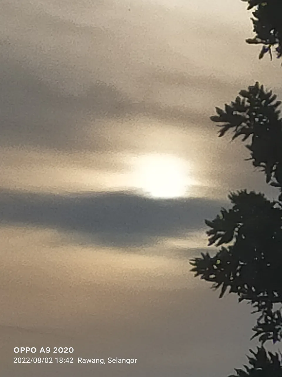 IMG20220802184216.jpg