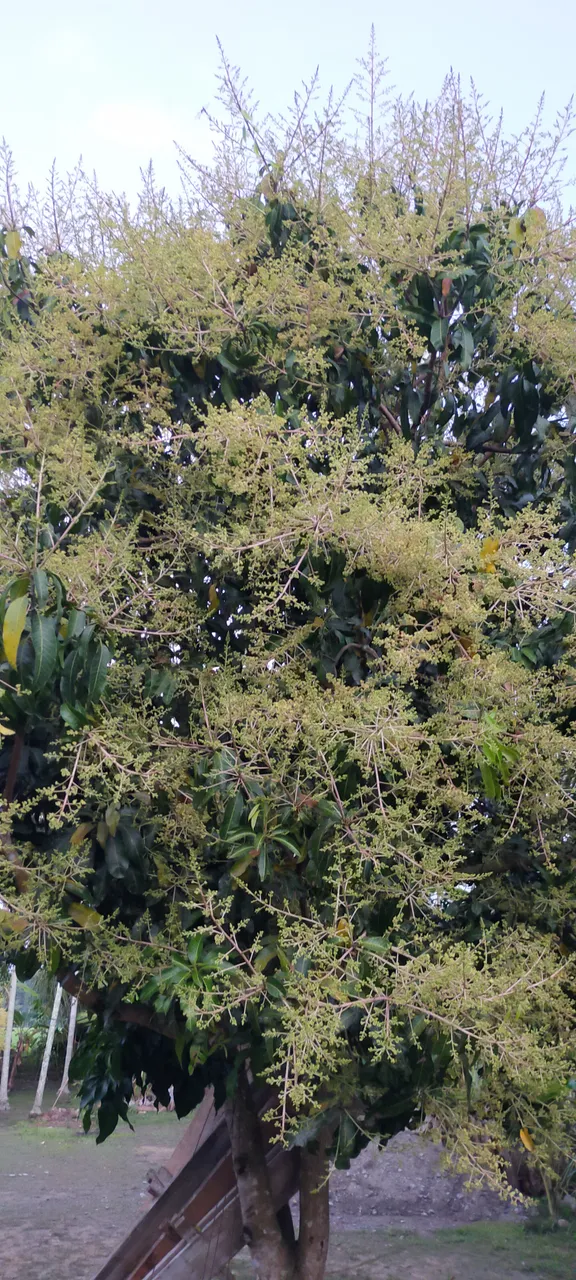 IMG20210213064120.jpg