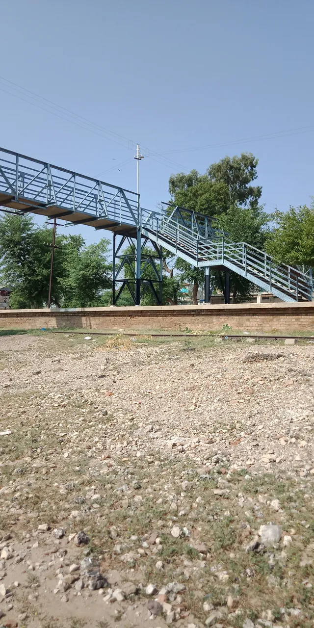 IMG20210911095409.jpg