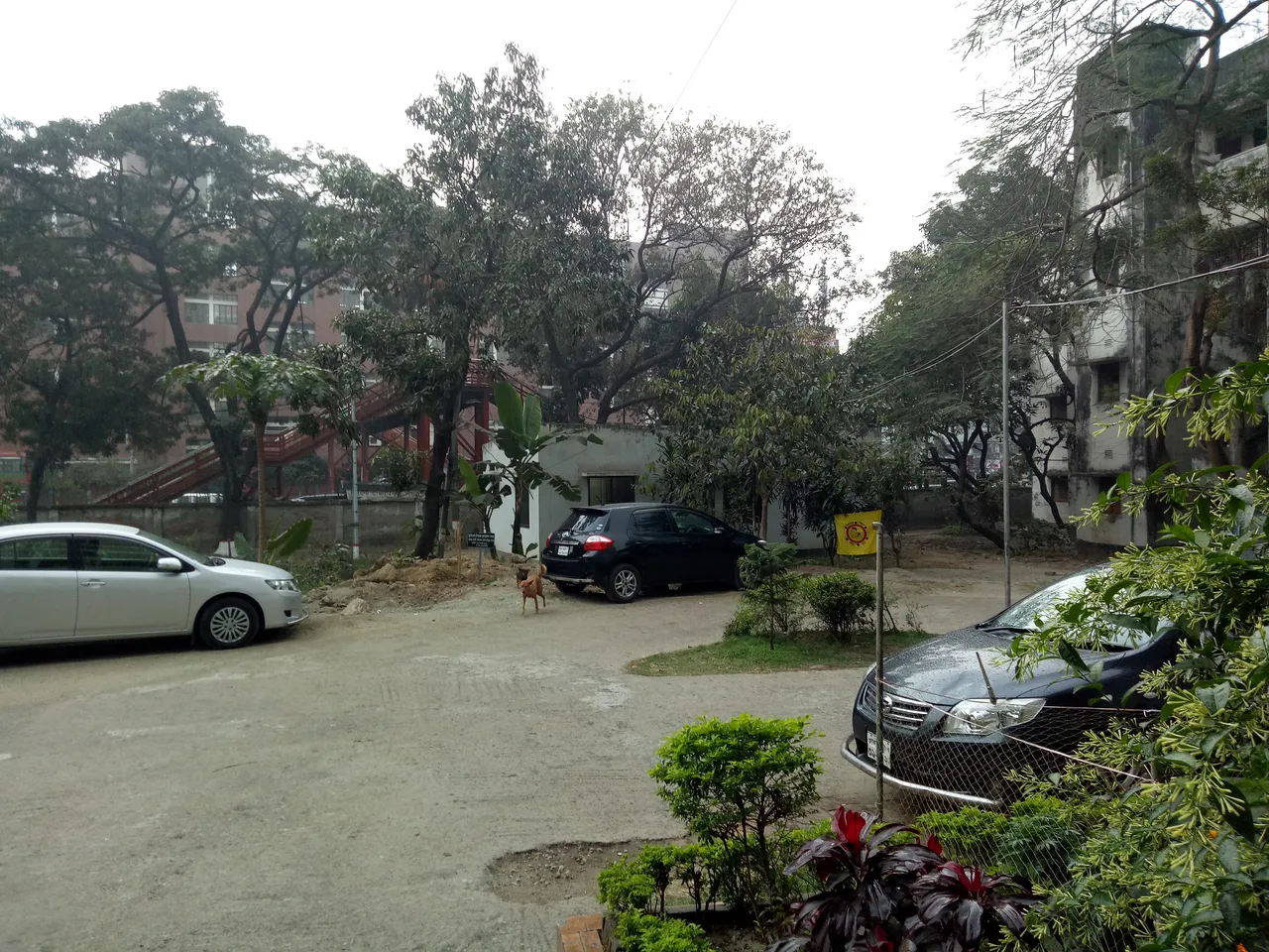 IMG20210120120404.jpg