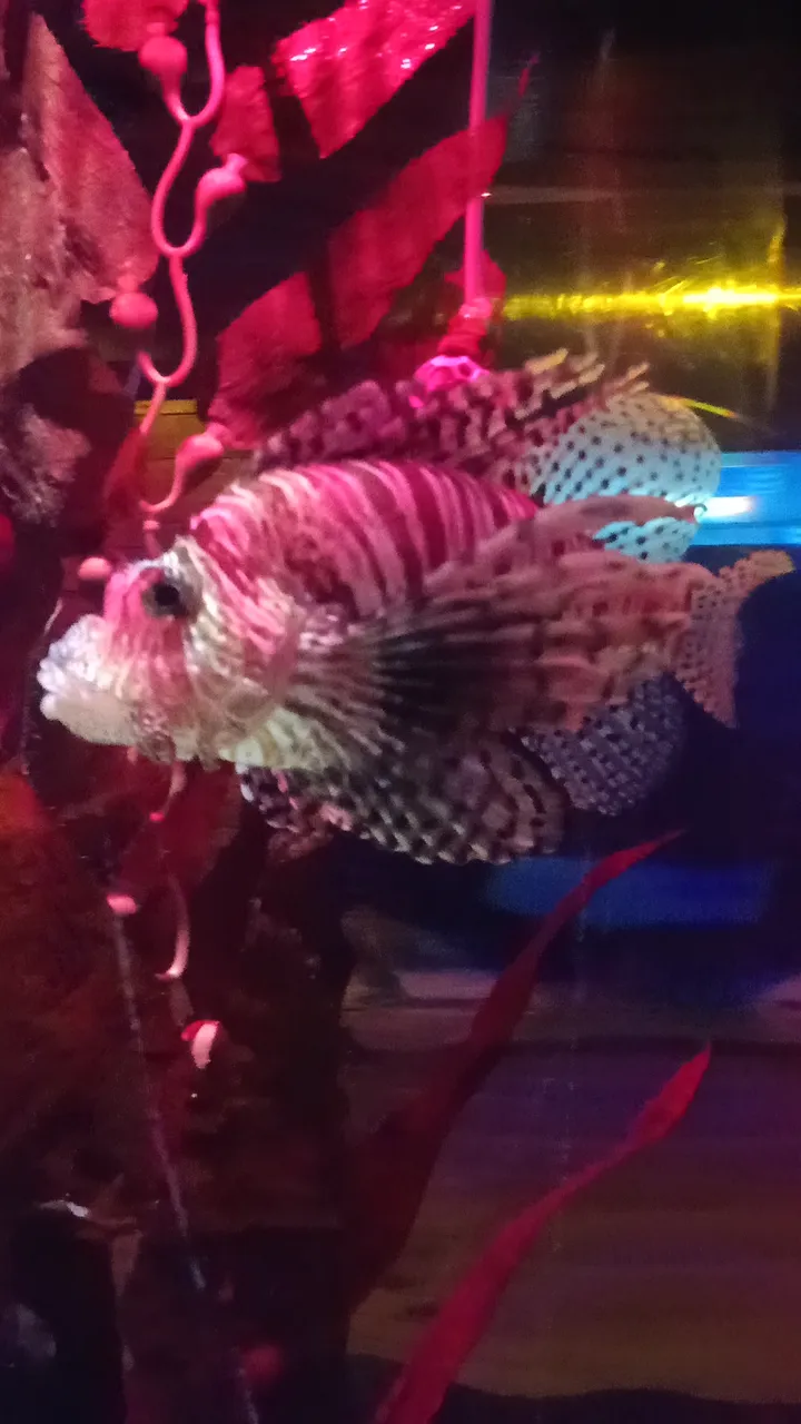 IMG20250427114409.jpg