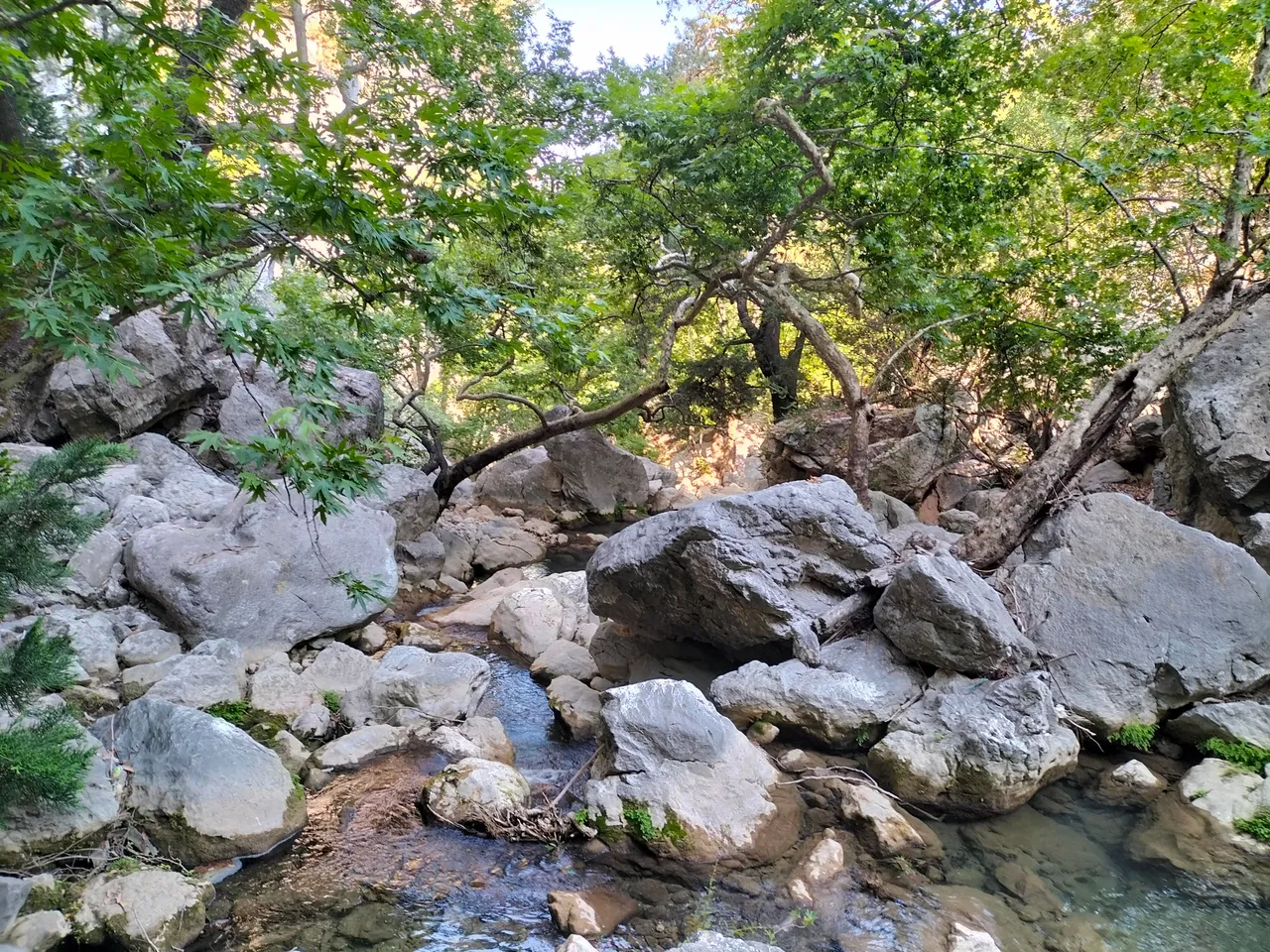 IMG20220707164023.jpg