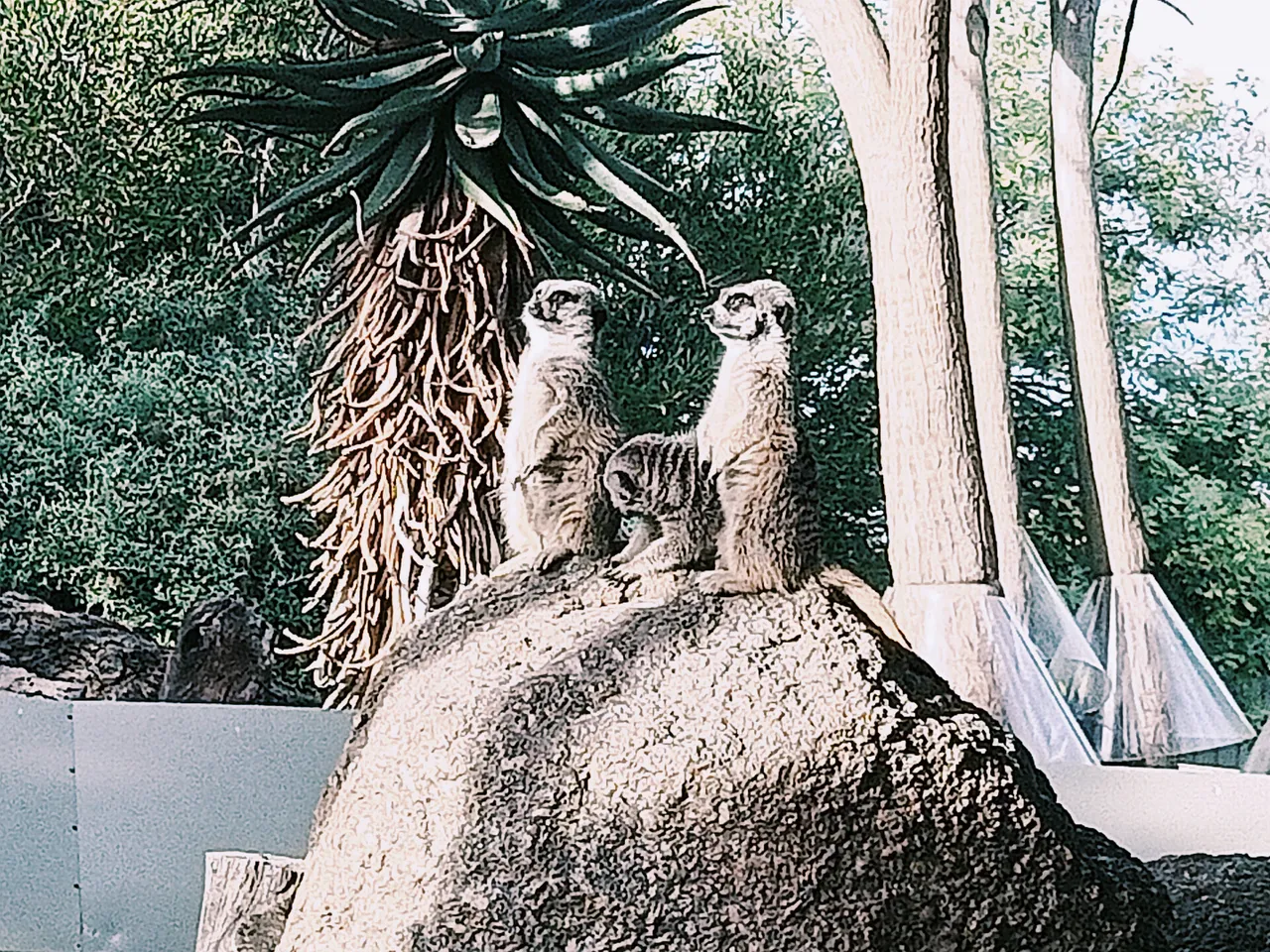 IMG20250601151207.jpg