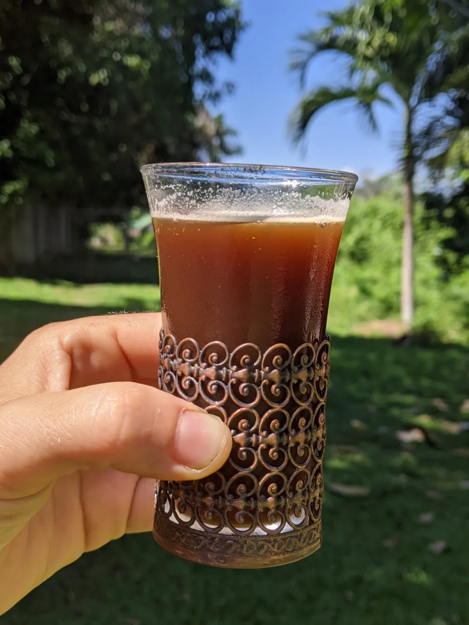 coffee-kombucha-6.jpg