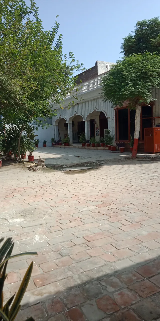 IMG20210911100806.jpg