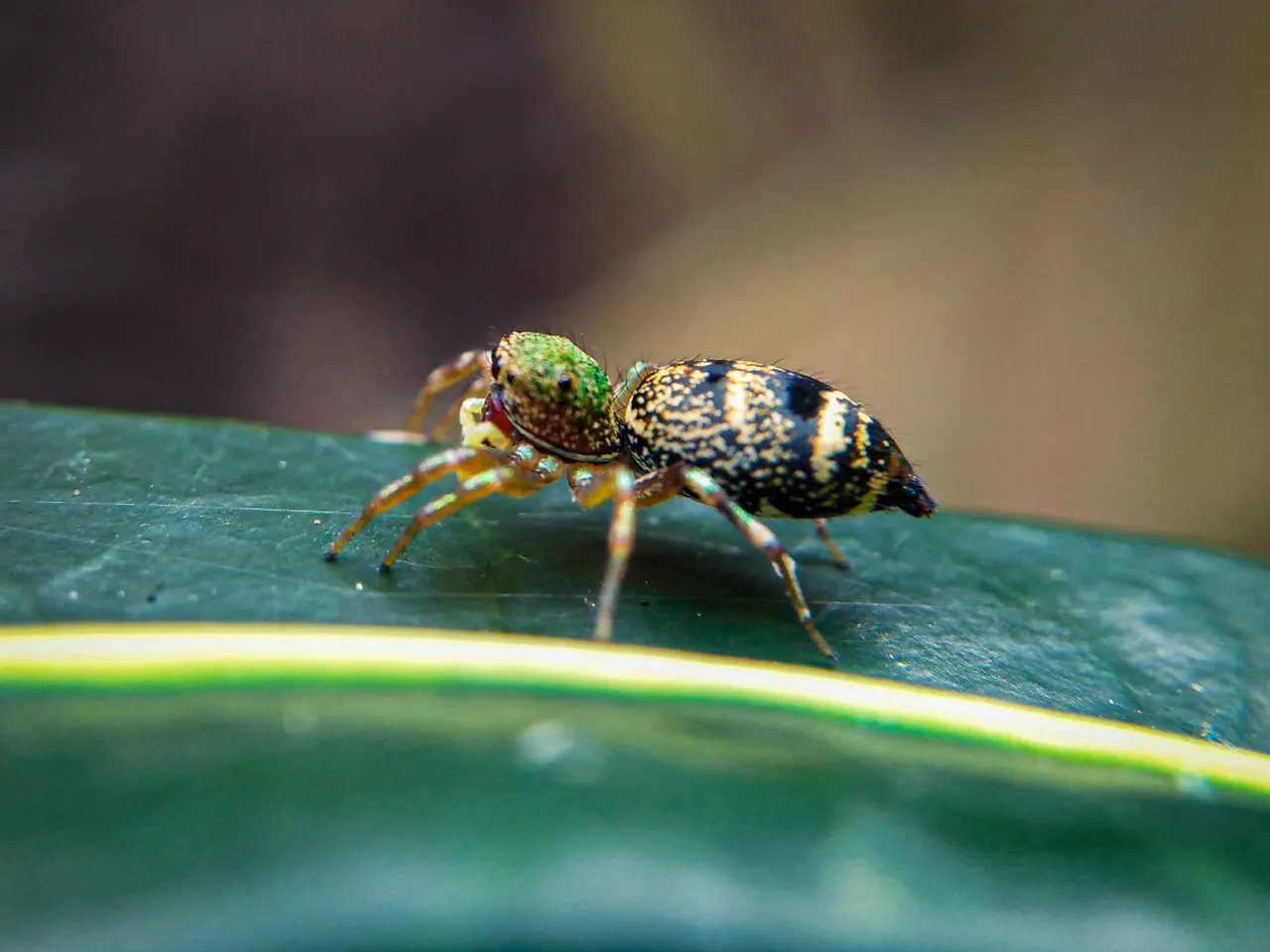 IMG20220116140736.jpg