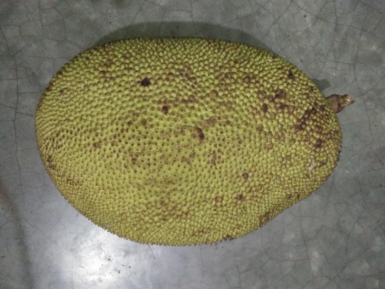 IMG20190614202001.jpg
