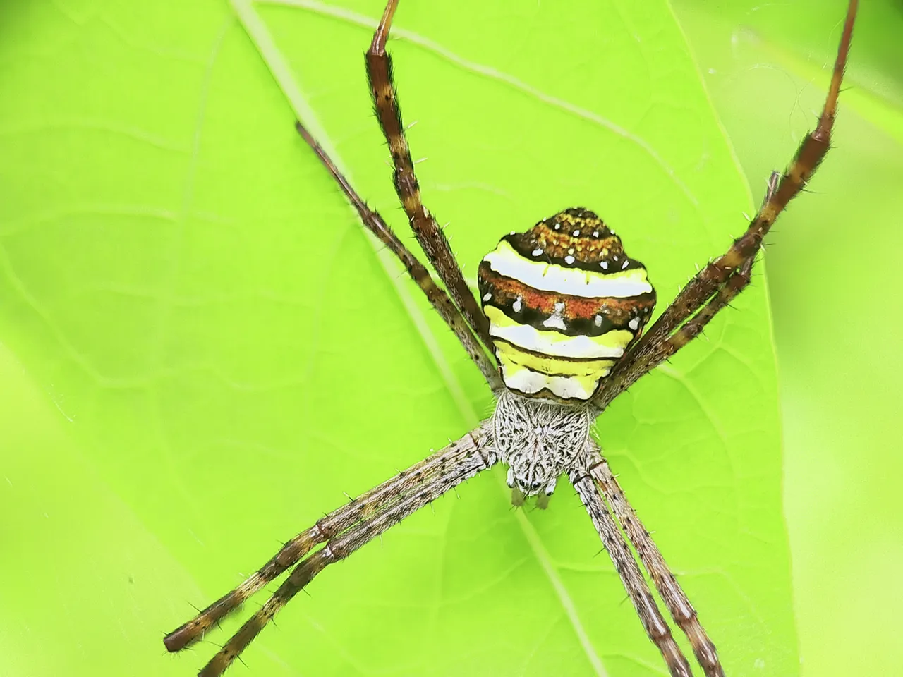 IMG20210201153831.jpg