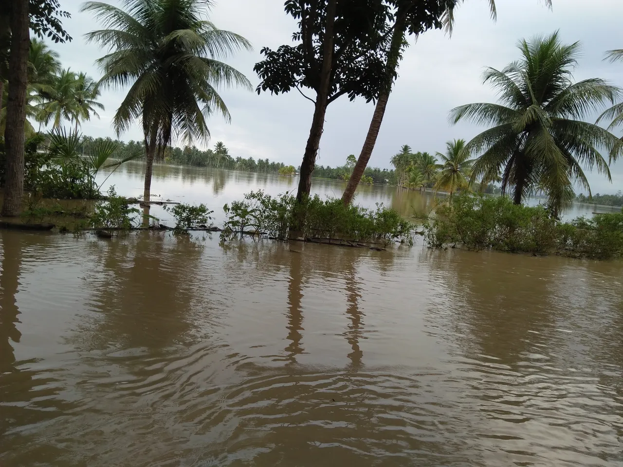 IMG20220103171047.jpg