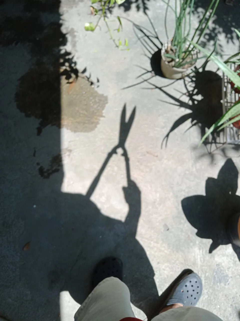 IMG20210421101657.jpg