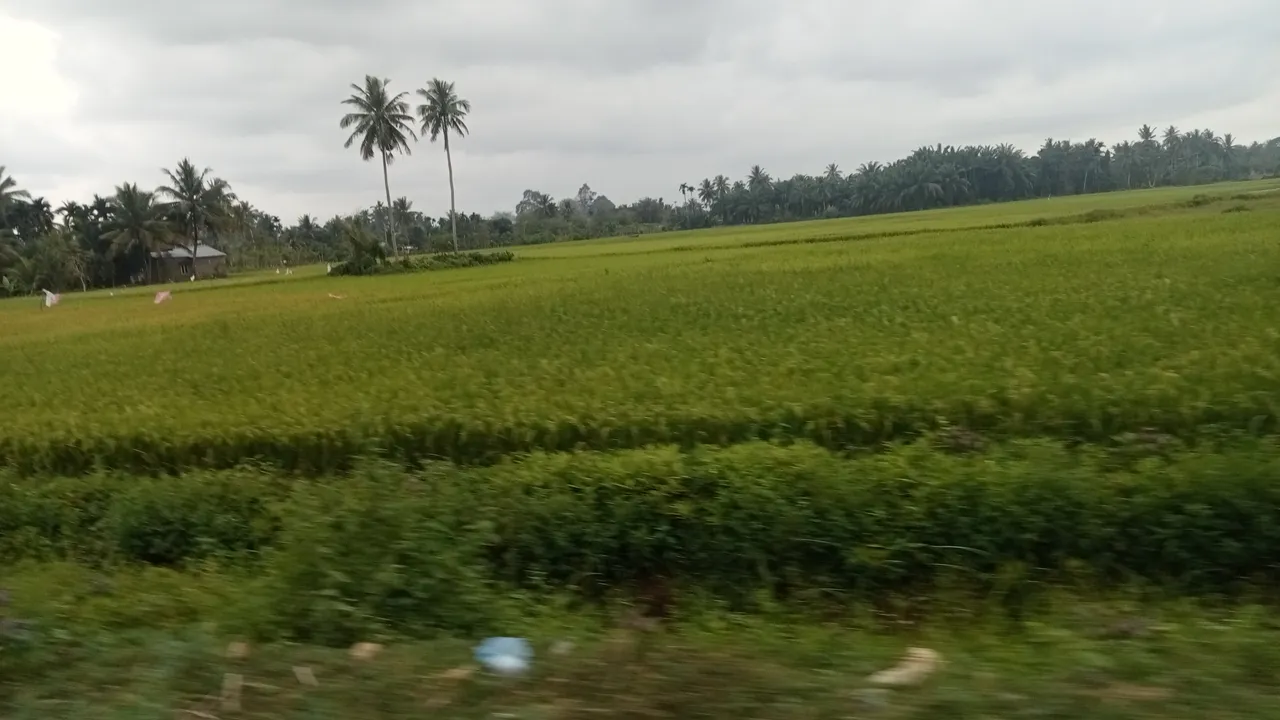 IMG20250222172102.jpg