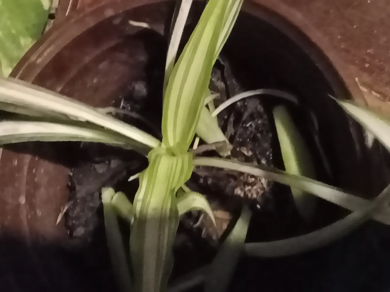 IMG20210318192204.jpg
