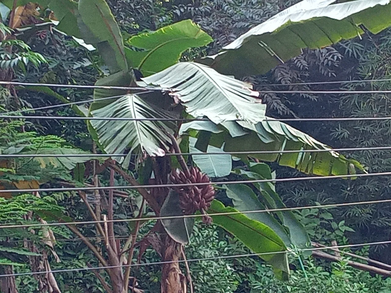 IMG20220928151137.jpg