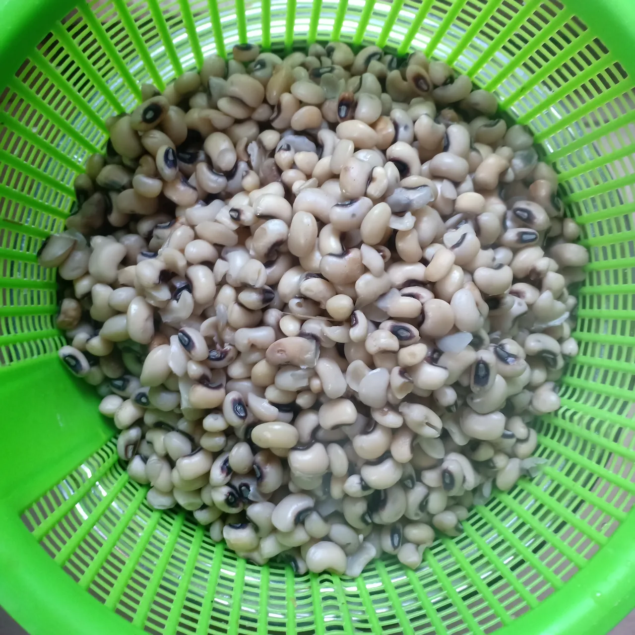 IMG20250320145210.jpg