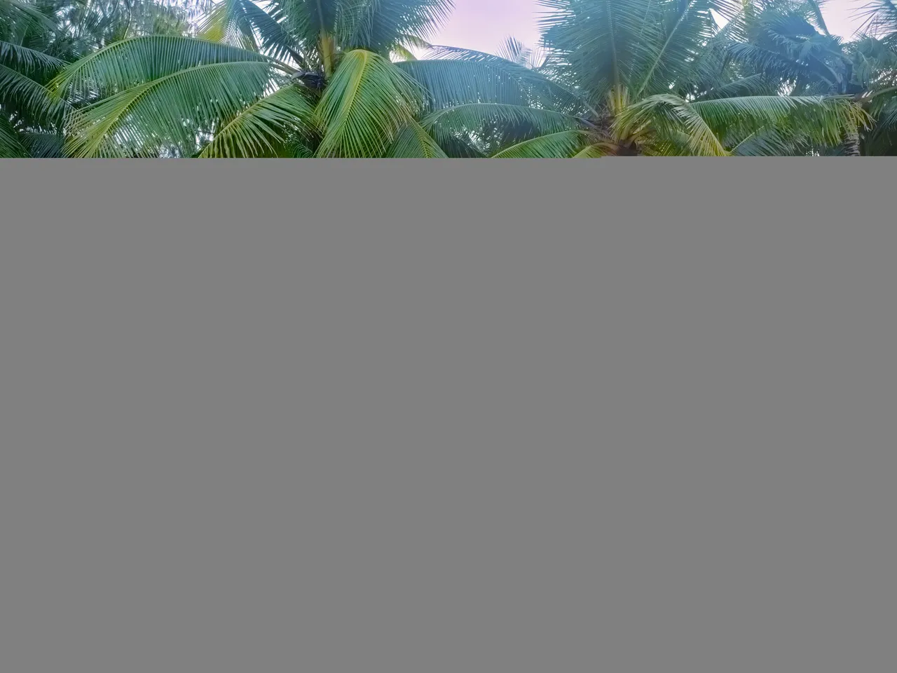 IMG20220802064156.jpg