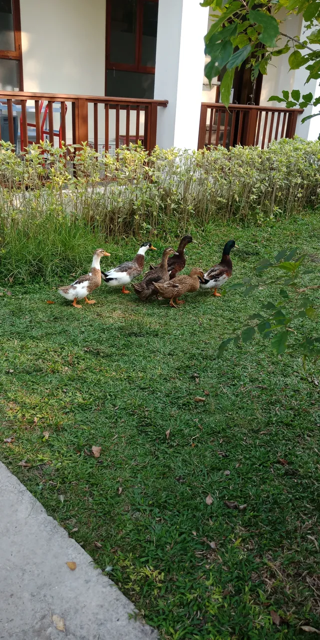 IMG20210219161819.jpg