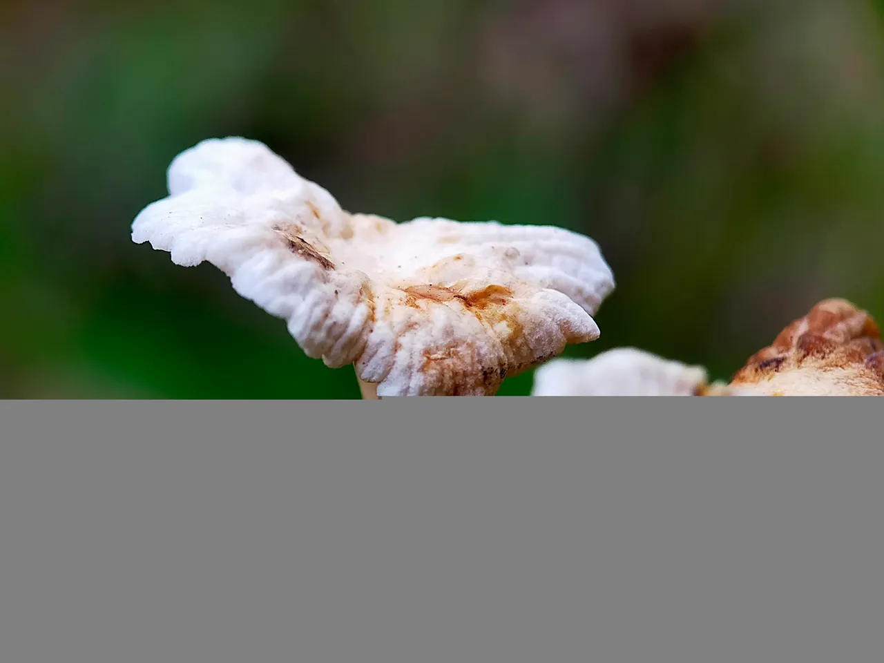 IMG20220114072947.jpg