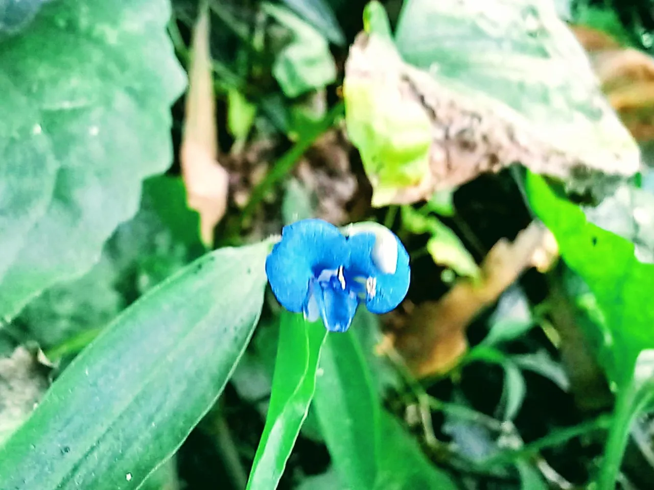20250303_115100~3.jpg