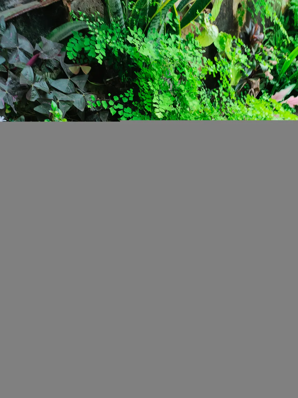 IMG20210721161002.jpg
