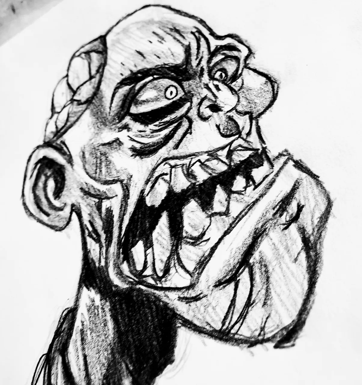 20250324_124243~2.jpg