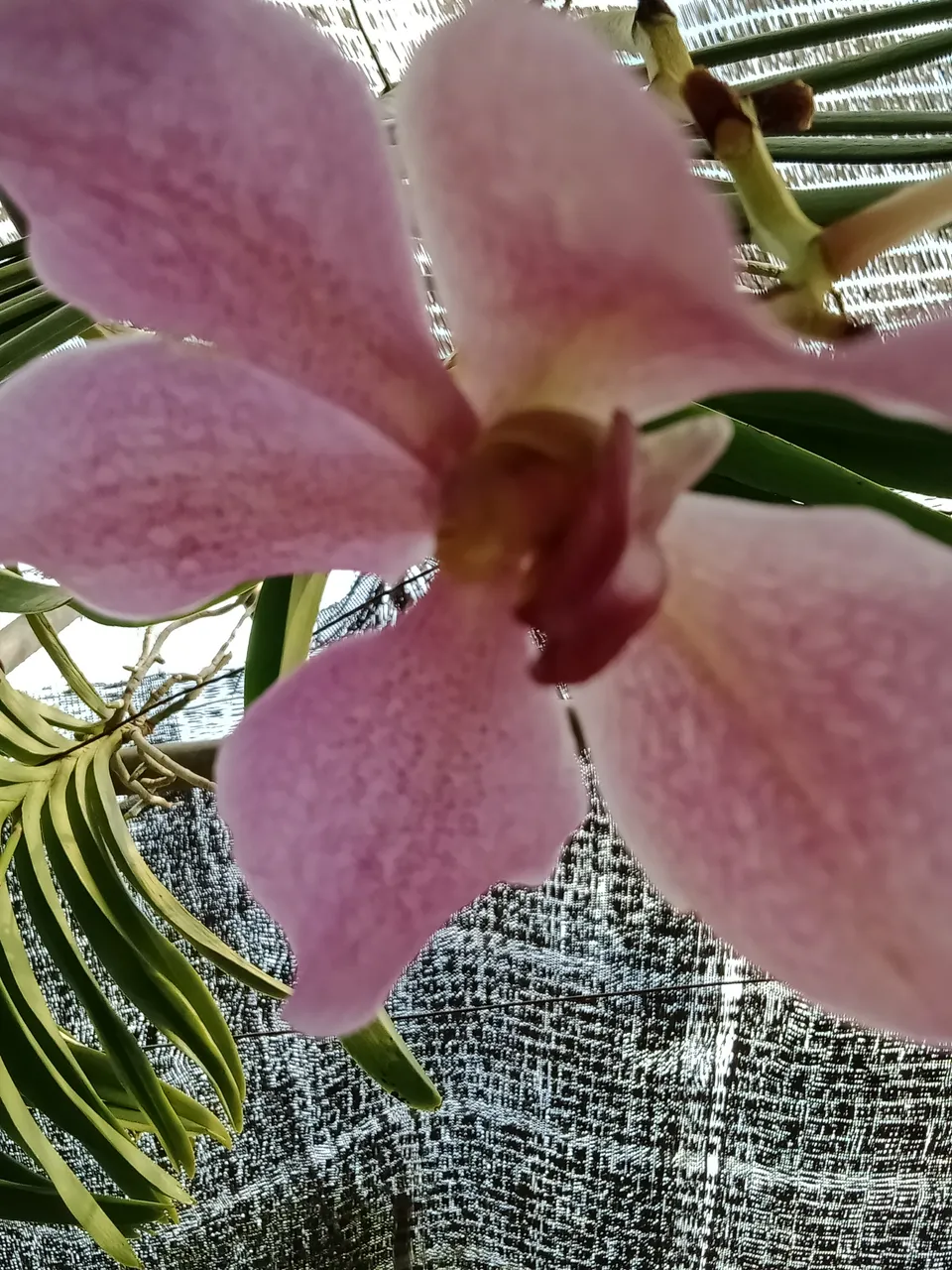IMG20210409154652.jpg