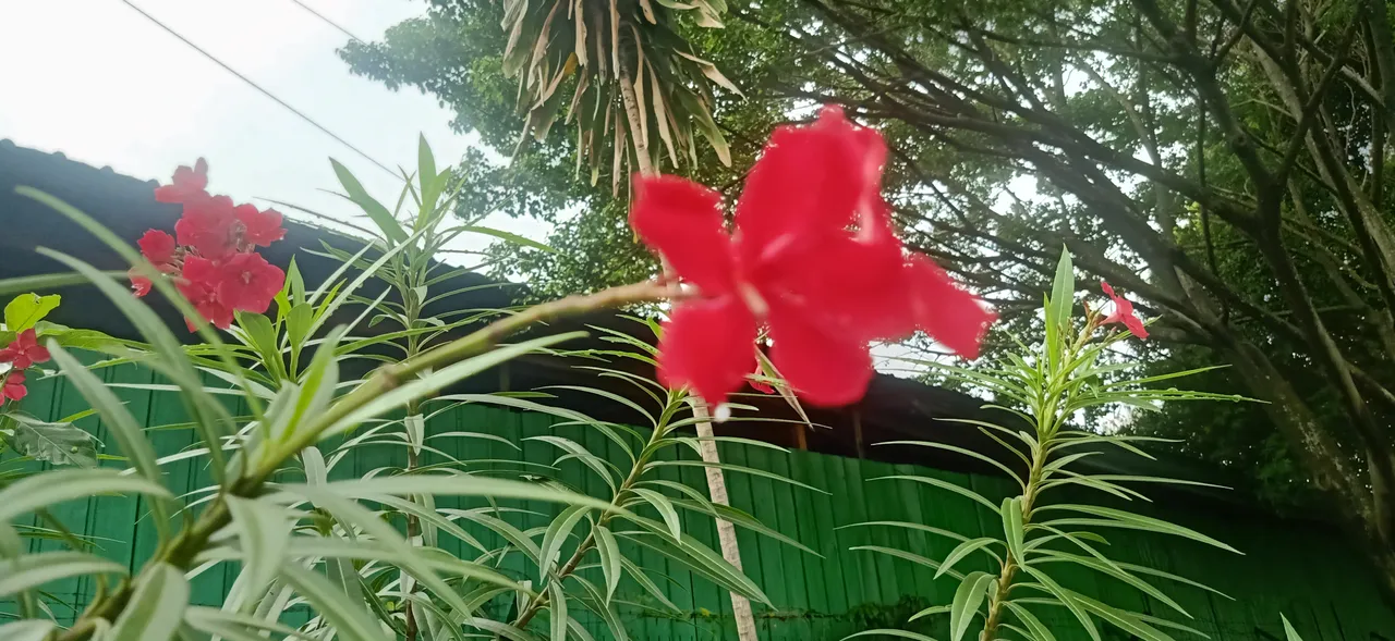 IMG20211216101805.jpg