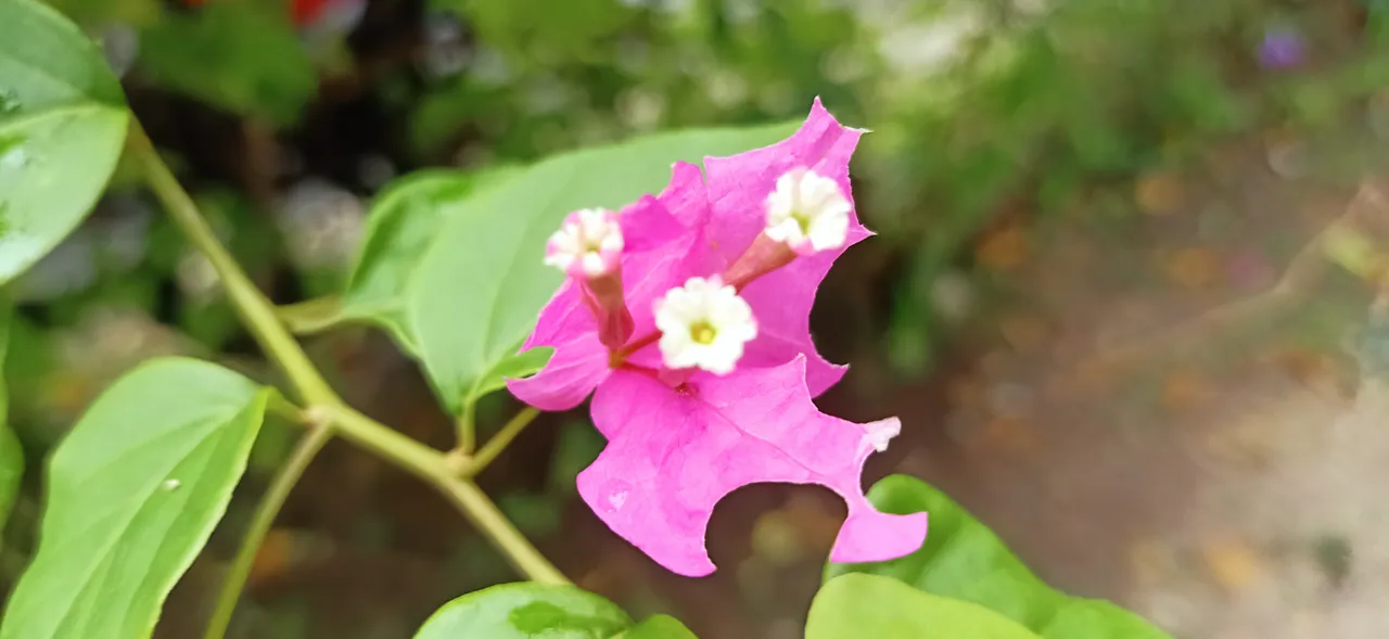 IMG20220101112949.jpg