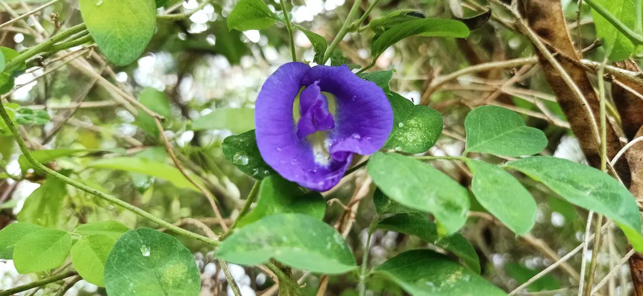 IMG20220101112752.jpg