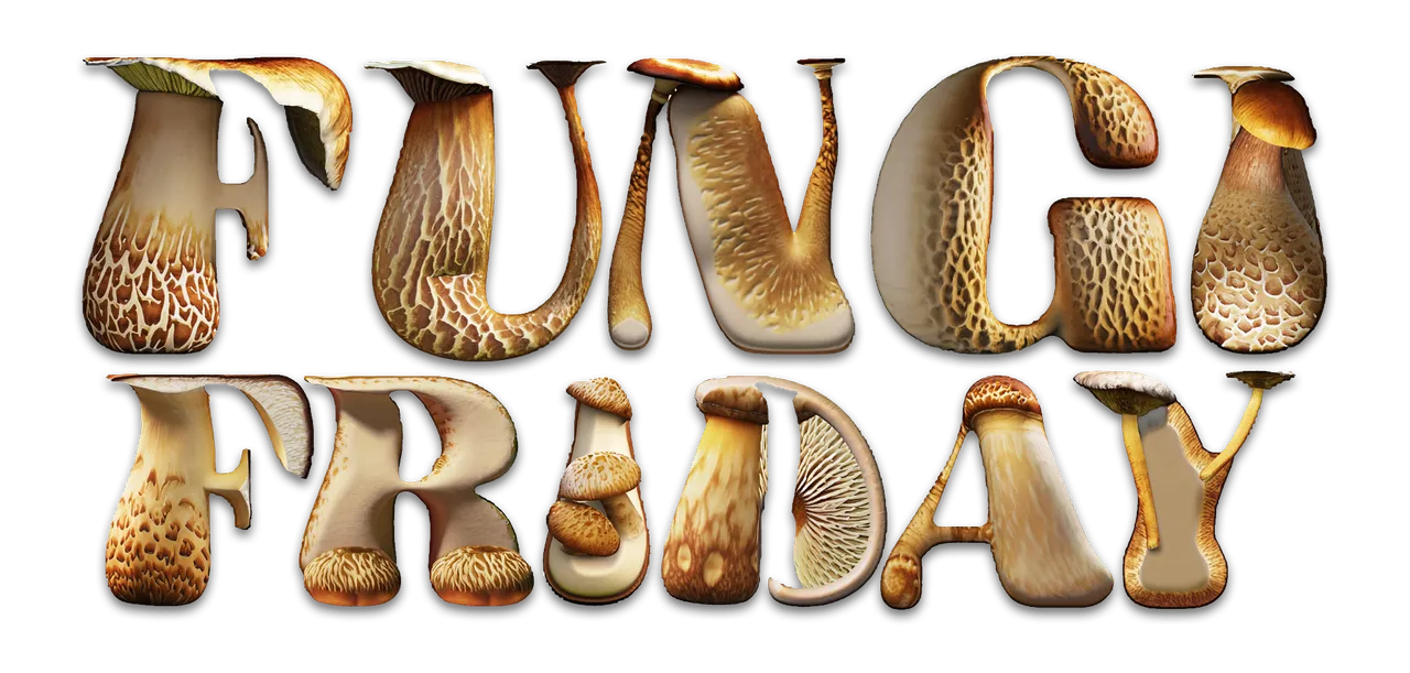 Fungi Friday