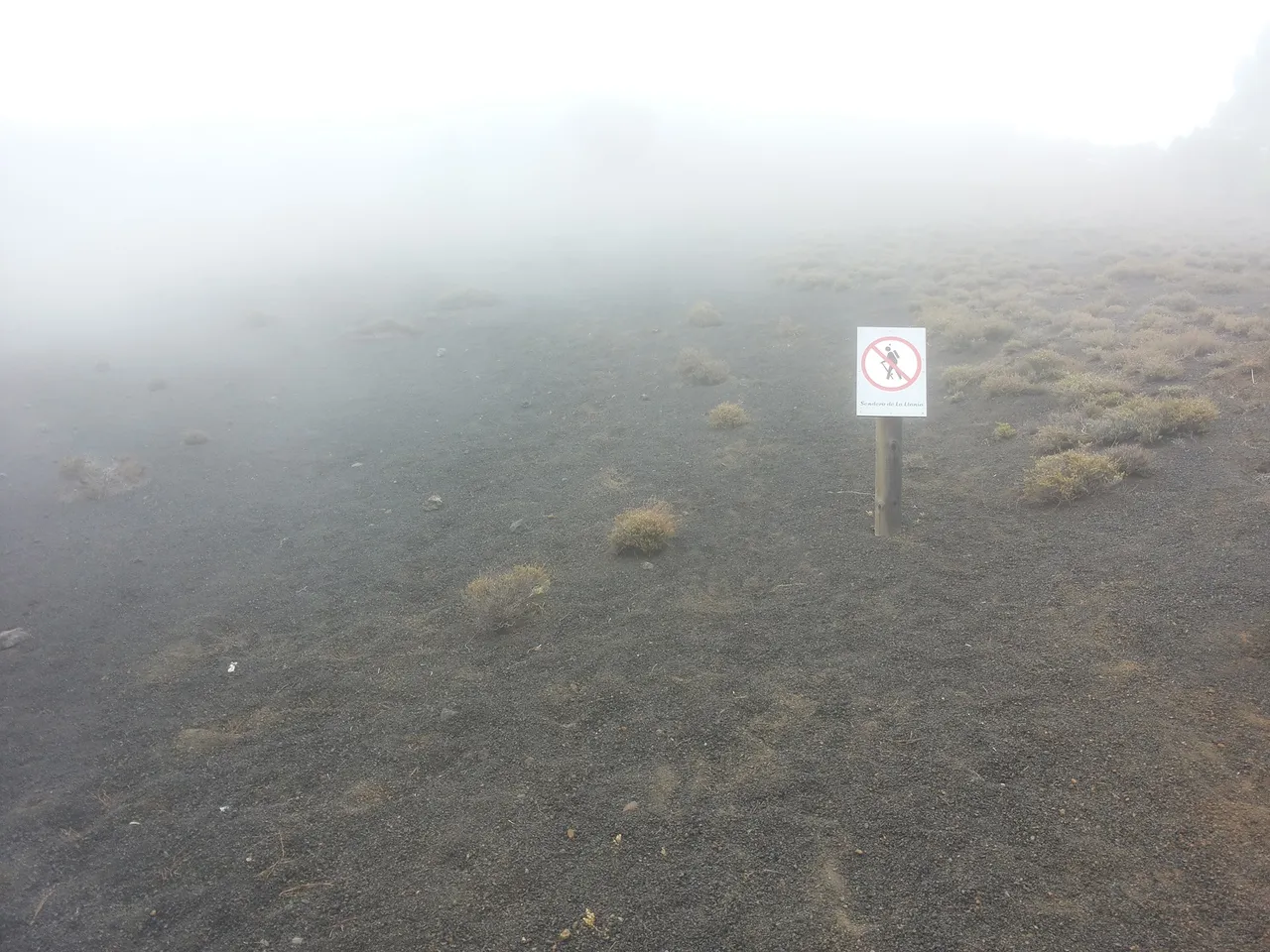 20160911_155538.jpg