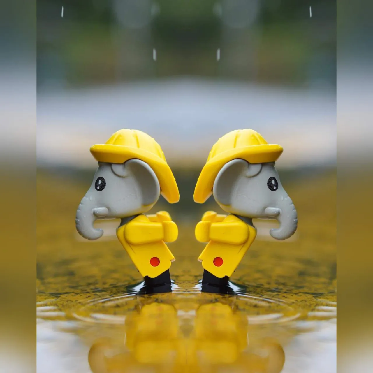 https://s3.us-east-2.amazonaws.com/partiko.io/img/vishwasmn-microphotography-1533209836037.png
