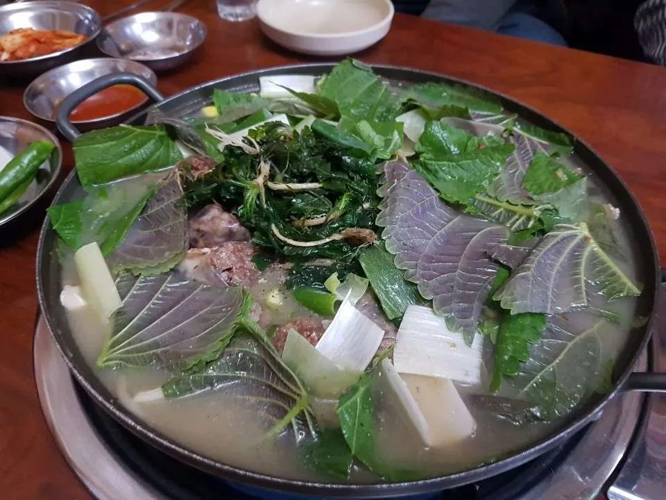 전골최초.jpg