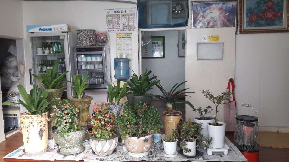 KakaoTalk_20181227_133016638.jpg